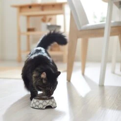 Frisco Moroccan Design Stainless Steel Dog & Cat Bowl -Pet Supplies Discount Store 311963 PT3. AC SS1800 V1642542386