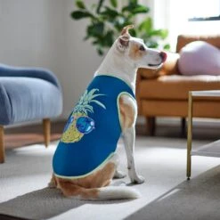 Frisco Pineapple Guy Dog & Cat T-Shirt -Pet Supplies Discount Store 312040 PT8. AC SS1800 V1644466024