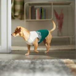 Frisco Tropical Palm Dog & Cat T-Shirt -Pet Supplies Discount Store 312072 PT8. AC SS1800 V1644425897