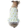 Frisco Sunflower Gingham Dog & Cat Dress -Pet Supplies Discount Store 312120 MAIN. AC SS1800 V1644423431