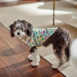 Frisco Flamingo Camp Dog & Cat Shirt -Pet Supplies Discount Store 312176 PT7. AC SS1800 V1673361358