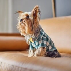 Frisco Boho Plaid Dog & Cat Shirt -Pet Supplies Discount Store 312184 PT8. AC SS1800 V1644524330