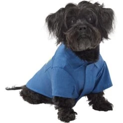 Frisco Chambray Pineapple Dog & Cat Shirt -Pet Supplies Discount Store 312192 PT3. AC SS1800 V1644526090