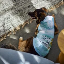 Frisco Just Chillin Dog & Cat Hoodie -Pet Supplies Discount Store 312233 PT8. AC SS1800 V1644881922