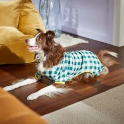 Frisco Boho Gingham Dog & Cat PJs -Pet Supplies Discount Store 312272 PT8. AC SS1800 V1644880063