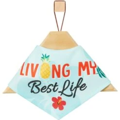 Frisco Living My Best Life Dog & Cat Bandana -Pet Supplies Discount Store 312288 PT3. AC SS1800 V1644883285