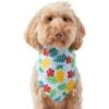 Frisco Hawaiian Pineapple Dog & Cat Bandana -Pet Supplies Discount Store 312300 MAIN. AC SS1800 V1644885441