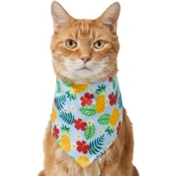 Frisco Hawaiian Pineapple Dog & Cat Bandana -Pet Supplies Discount Store 312300 PT2. AC SS1800 V1644878643