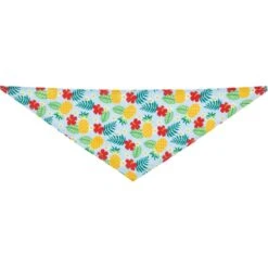 Frisco Hawaiian Pineapple Dog & Cat Bandana -Pet Supplies Discount Store 312300 PT4. AC SS1800 V1644880316