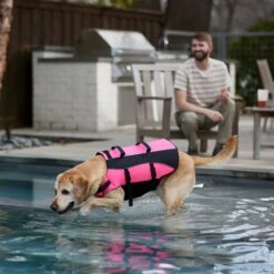 Frisco Ripstop Dog Life Jacket, Pink -Pet Supplies Discount Store 312380 PT8. AC SS1800 V1649275938