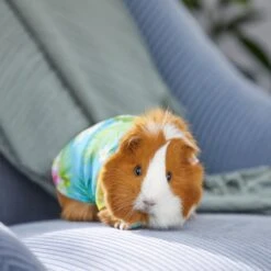 Frisco Pineapple Hawaiian Camp Guinea Pig Shirt 11 Frisco Pineapple Hawaiian Camp Guinea Pig Shirt -Pet Supplies Discount Store 313122 PT8. AC SS1800 V1644524562