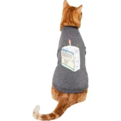 Frisco Birthday Pup Dog & Cat T-Shirt -Pet Supplies Discount Store 315076 PT2. AC SS1800 V1646432513