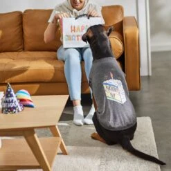 Frisco Birthday Pup Dog & Cat T-Shirt -Pet Supplies Discount Store 315076 PT8. AC SS1800 V1646438210