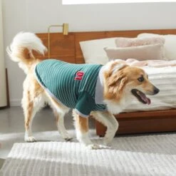 Frisco Green Rugby Dog & Cat Polo Shirt -Pet Supplies Discount Store 315084 PT8. AC SS1800 V1646436749