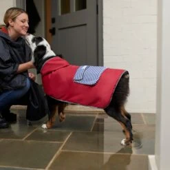 Frisco Lightweight Red Reversible Packable Dog Raincoat -Pet Supplies Discount Store 315109 PT8. AC SS1800 V1646437779