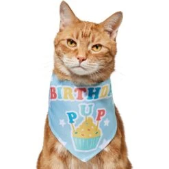 Frisco Birthday Pup Dog & Cat Bandana -Pet Supplies Discount Store 315130 PT2. AC SS1800 V1646437964