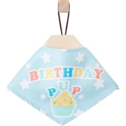 Frisco Birthday Pup Dog & Cat Bandana -Pet Supplies Discount Store 315130 PT4. AC SS1800 V1646441905