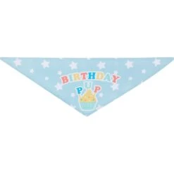 Frisco Birthday Pup Dog & Cat Bandana -Pet Supplies Discount Store 315130 PT5. AC SS1800 V1646434611