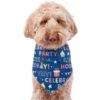 Frisco Celebration Dog & Cat Bandana -Pet Supplies Discount Store 315133 MAIN. AC SS1800 V1646438946