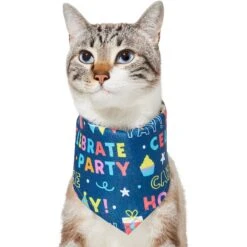 Frisco Celebration Dog & Cat Bandana -Pet Supplies Discount Store 315133 PT2. AC SS1800 V1646439780