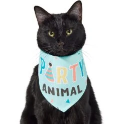 Frisco Party Animal Dog & Cat Bandana -Pet Supplies Discount Store 315136 PT2. AC SS1800 V1646438016