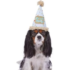 Frisco It's A Party Animal Dog & Cat Hat 8 Frisco It's A Party Animal Dog & Cat Hat -Pet Supplies Discount Store 315140 PT2. AC SS1800 V1646434624