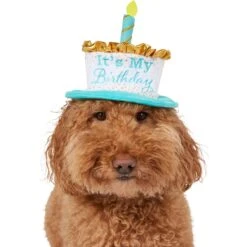 Frisco It's My Birthday Dog & Cat Hat 8 Frisco It's My Birthday Dog & Cat Hat -Pet Supplies Discount Store 315142 PT2. AC SS1800 V1646436466