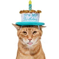 Frisco It's My Birthday Dog & Cat Hat 9 Frisco It's My Birthday Dog & Cat Hat -Pet Supplies Discount Store 315142 PT3. AC SS1800 V1646437287
