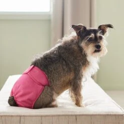 Frisco Washable Female Diaper -Pet Supplies Discount Store 315702 PT3. AC SS1800 V1644885450