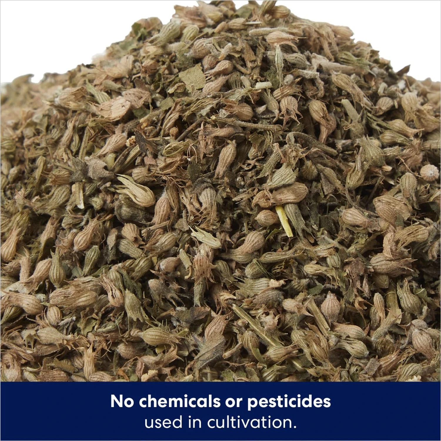 Frisco Natural Catnip 5 Frisco Natural Catnip - Image 3