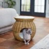 Frisco Round Wicker Cat Condo With Top Perch -Pet Supplies Discount Store 316646 MAIN. AC SS1800 V1633727580