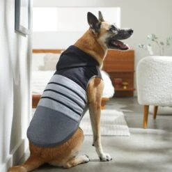 Frisco Gray Striped Dog & Cat Hoodie 15 Frisco Gray Striped Dog & Cat Hoodie -Pet Supplies Discount Store 317305 PT8. AC SS1800 V1646437959
