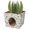 Frisco Potted Succulent Cardboard Cat House -Pet Supplies Discount Store 317723 MAIN. AC SS1800 V1688677259