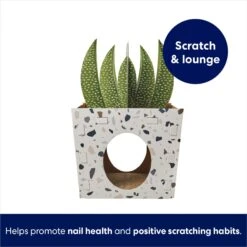 Frisco Potted Succulent Cardboard Cat House -Pet Supplies Discount Store 317723 PT2. AC SS1800 V1689342085