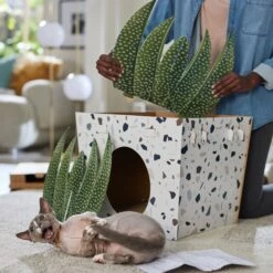 Frisco Potted Succulent Cardboard Cat House -Pet Supplies Discount Store 317723 PT3. AC SS1800 V1688677248