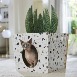 Frisco Potted Succulent Cardboard Cat House -Pet Supplies Discount Store 317723 PT4. AC SS1800 V1688677260