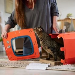 Frisco TV Set Cardboard Cat House 11 Frisco TV Set Cardboard Cat House -Pet Supplies Discount Store 317731 PT3. AC SS1800 V1688677262