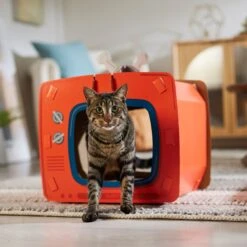 Frisco TV Set Cardboard Cat House 12 Frisco TV Set Cardboard Cat House -Pet Supplies Discount Store 317731 PT4. AC SS1800 V1688677247
