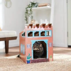 Frisco Southwestern House Cardboard Cat House -Pet Supplies Discount Store 317739 PT3. AC SS1800 V1642099125
