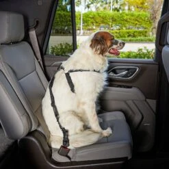 Frisco Adjustable Dog Seatbelt Tether & Frisco Quilted Water Resistant Bench Car Seat Cover -Pet Supplies Discount Store 318966 PT3. AC SS1800 V1630360879