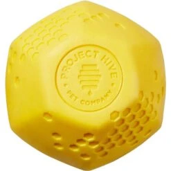 Frisco Fetch Squeaking Colorful Tennis Ball Dog Toy & Project Hive Pet Company Ball Dog Toy -Pet Supplies Discount Store 319024 PT4. AC SS1800 V1630553814