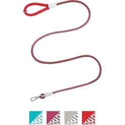 Frisco Outdoor Comfort Print Nylon Padded Dog Collar & Frisco Outdoor Ultra Reflective Rope Leash With Padded Handle -Pet Supplies Discount Store 319066 PT5. AC SS1800 V1631157395