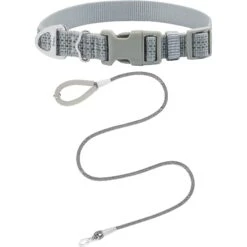 Frisco Outdoor Ultra Reflective Nylon Dog Collar & Frisco Outdoor Ultra Reflective Rope Leash With Padded Handle