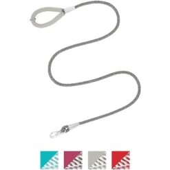 Frisco Outdoor Ultra Reflective Nylon Dog Collar & Frisco Outdoor Ultra Reflective Rope Leash With Padded Handle -Pet Supplies Discount Store 319102 PT5. AC SS1800 V1631149585