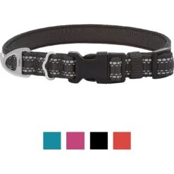 Frisco Outdoor Premium Ripstop Nylon Dog Harness With Pocket & Frisco Outdoor Nylon Reflective Comfort Padded Dog Collar 16 Frisco Outdoor Premium Ripstop Nylon Dog Harness With Pocket & Frisco Outdoor Nylon Reflective Comfort Padded Dog Collar -Pet Supplies Discount Store 319304 PT5. AC SS1800 V1631139692