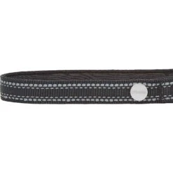 Frisco Outdoor Premium Ripstop Nylon Dog Harness With Pocket & Frisco Outdoor Nylon Reflective Comfort Padded Dog Collar 17 Frisco Outdoor Premium Ripstop Nylon Dog Harness With Pocket & Frisco Outdoor Nylon Reflective Comfort Padded Dog Collar -Pet Supplies Discount Store 319304 PT6. AC SS1800 V1631158591