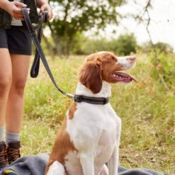 Frisco Outdoor Premium Ripstop Nylon Dog Harness With Pocket & Frisco Outdoor Nylon Reflective Comfort Padded Dog Leash 19 Frisco Outdoor Premium Ripstop Nylon Dog Harness With Pocket & Frisco Outdoor Nylon Reflective Comfort Padded Dog Leash -Pet Supplies Discount Store 319306 PT8. AC SS1800 V1631161603