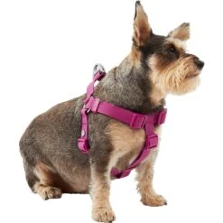 Frisco Outdoor Solid Textured Waterproof Stink Proof PVC Dog Harness & Frisco Outdoor Solid Textured Waterproof Stink Proof PVC Dog Leash -Pet Supplies Discount Store 319356 PT2. AC SS1800 V1631150788