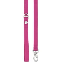 Frisco Outdoor Solid Textured Waterproof Stink Proof PVC Dog Harness & Frisco Outdoor Solid Textured Waterproof Stink Proof PVC Dog Leash -Pet Supplies Discount Store 319356 PT6. AC SS1800 V1631160674