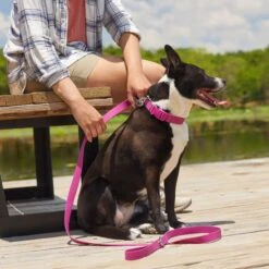 Frisco Outdoor Solid Textured Waterproof Stink Proof PVC Dog Harness & Frisco Outdoor Solid Textured Waterproof Stink Proof PVC Dog Leash -Pet Supplies Discount Store 319356 PT7. AC SS1800 V1631141802